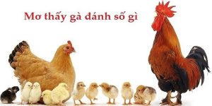 mơ thấy gà đánh số gì